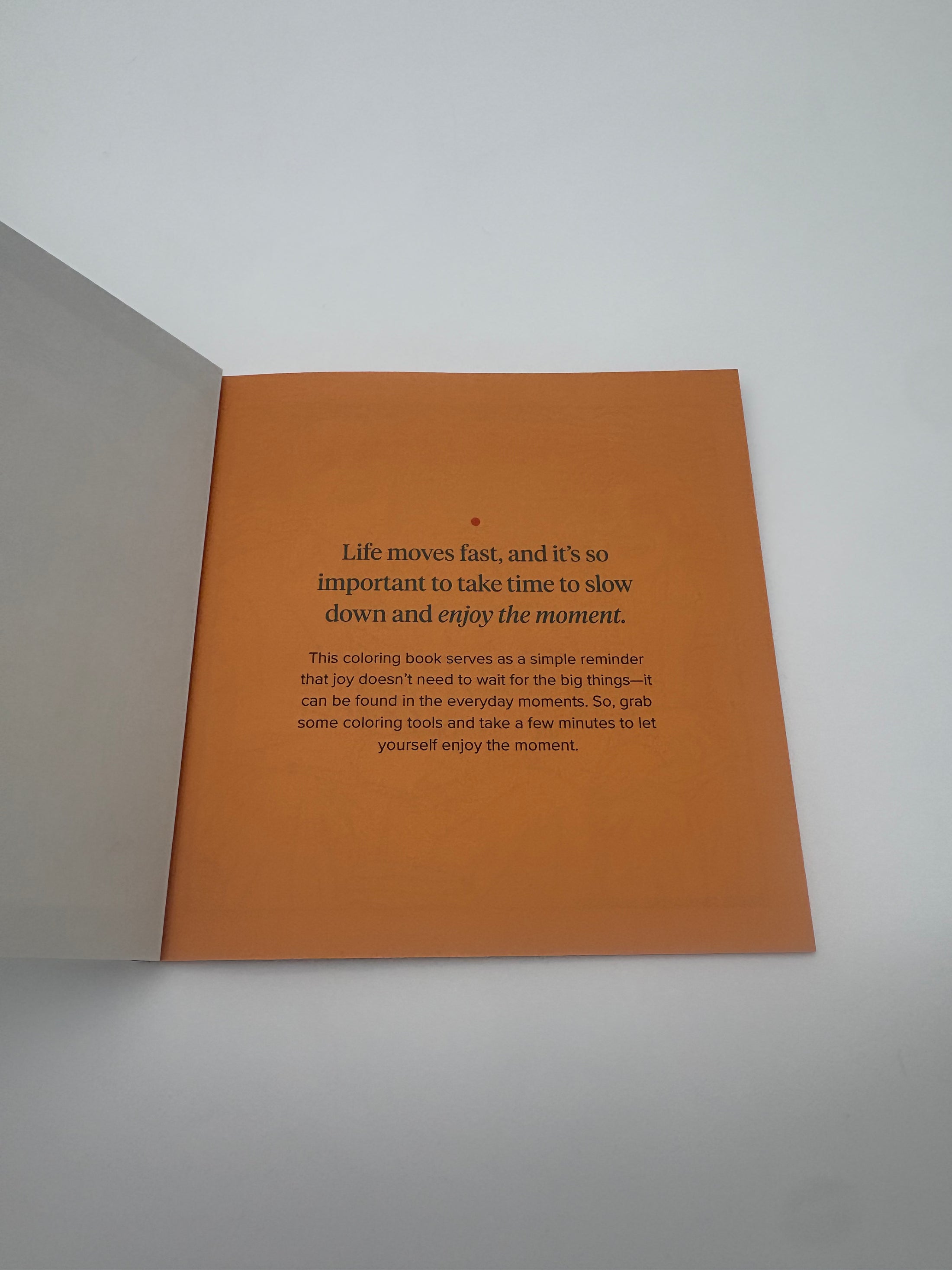 Leavitt Group Coloring Book
