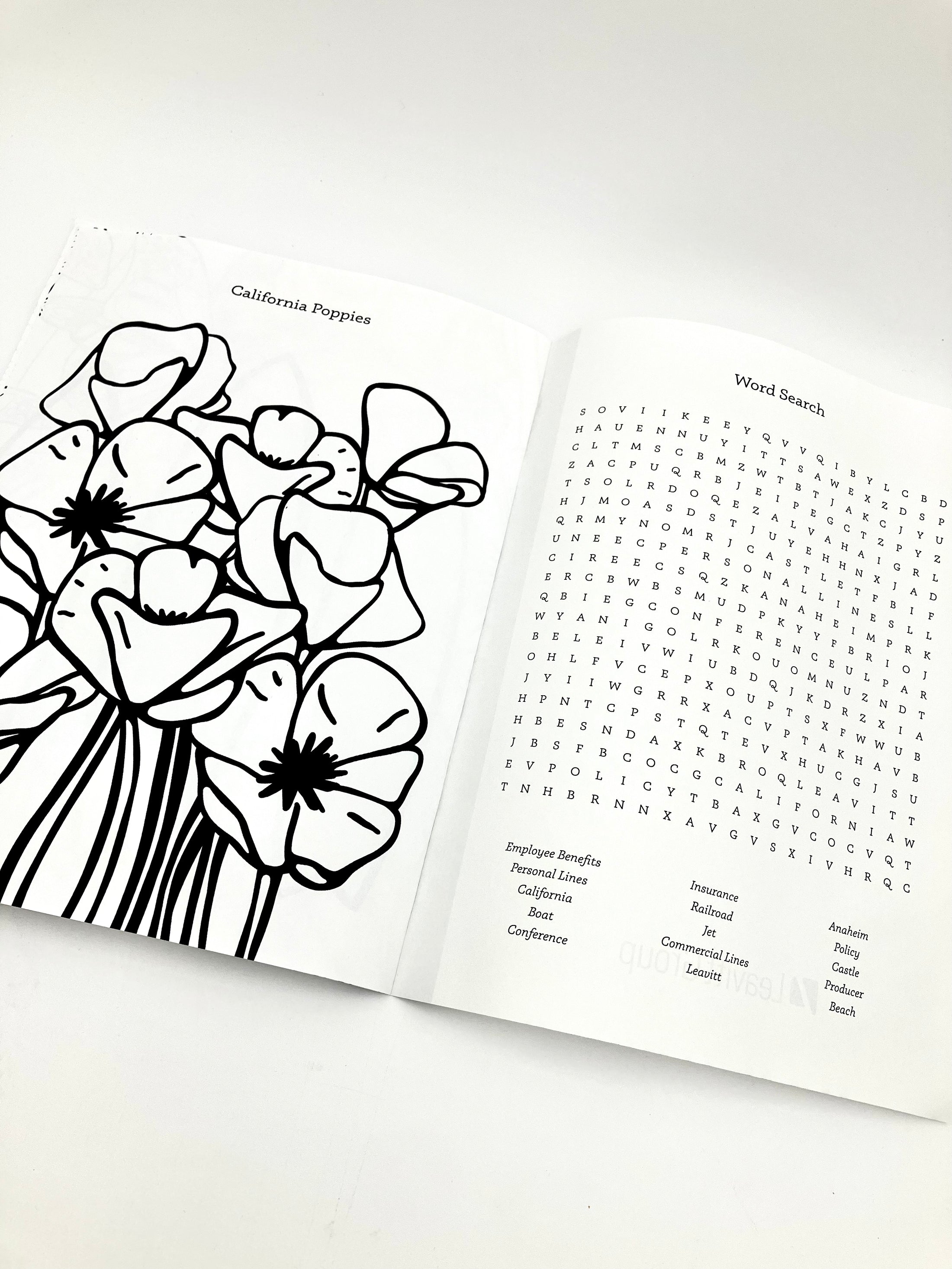 Junior Producer School Activity Book